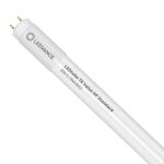 Ledvance Rura LED T8 Value (HF) Standard Output 8W 900lm - 865 Światło dzienne | 60cm - Zamienne 18W