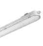Philips Oprawy Hermetyczne LED CoreLine WT120C Gen2 57W 8000lm - 840 Zimna Biel | 150cm